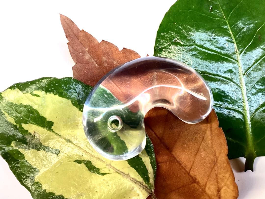 ✳黒平水晶透明感のある水晶 特大38.5mm 国内最高峰のパワー勾玉鑑別書付