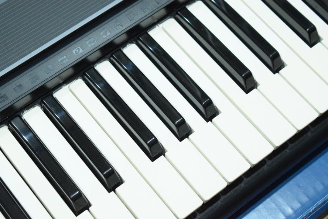 YAMAHA 電子キーボード PSR-E233 動作OK！