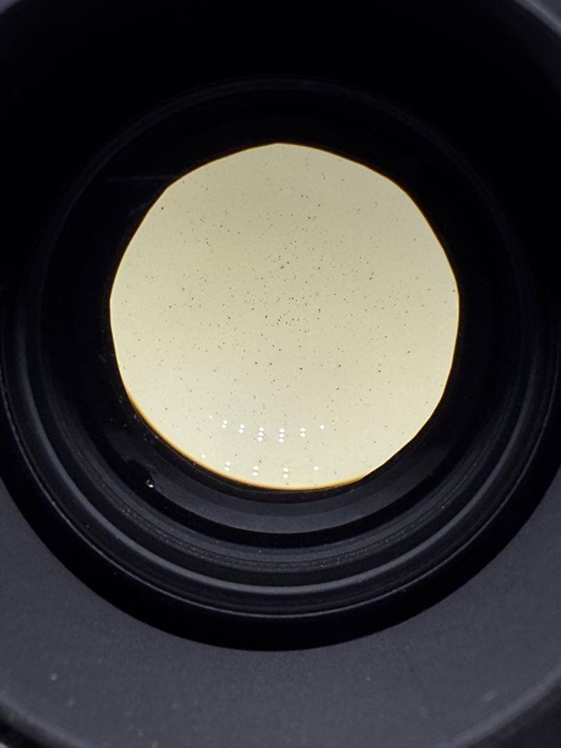 Nikon AF-S NIKKOR 17-35mm f/2.8D レンズ＃248