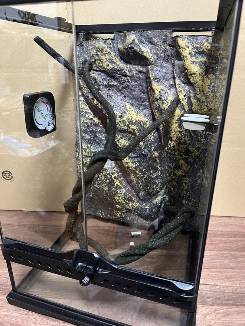 GEX グラステラリウム　3045 爬虫類　ケージ　温湿度計　餌水入れ　人工ツタ