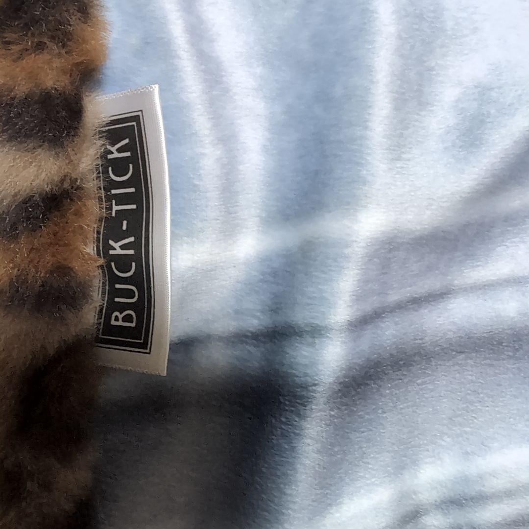 櫻井敦司　ブランケット