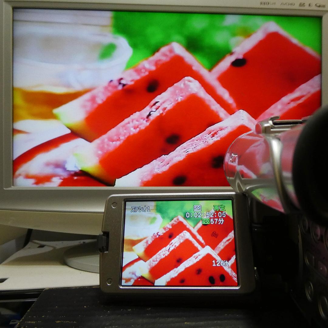 動作良好 キャノン DM-FV M100 MiniDVビデオカメラDVD化に最適