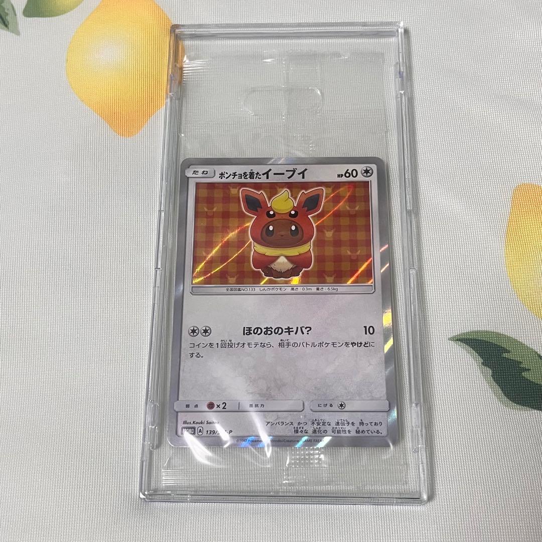 ポンチョを着たイーブイ　ブースター