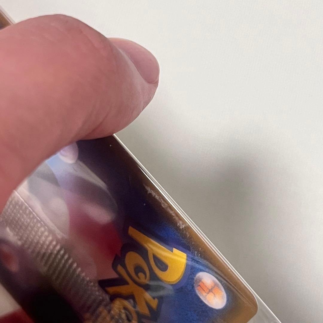 ポンチョを着たイーブイ　ブースター