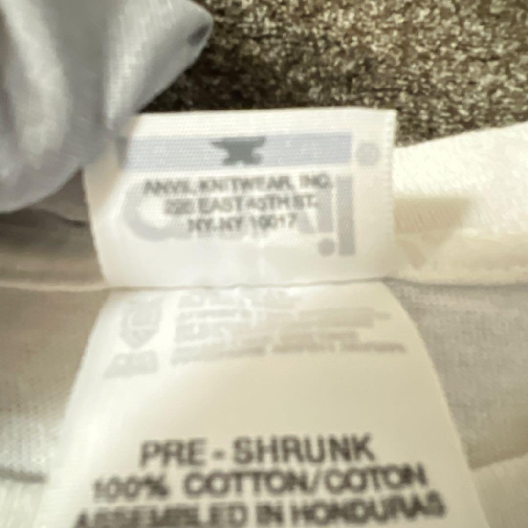 【希少】00's anvil NIRVANA NEVER MIND Tシャツ M