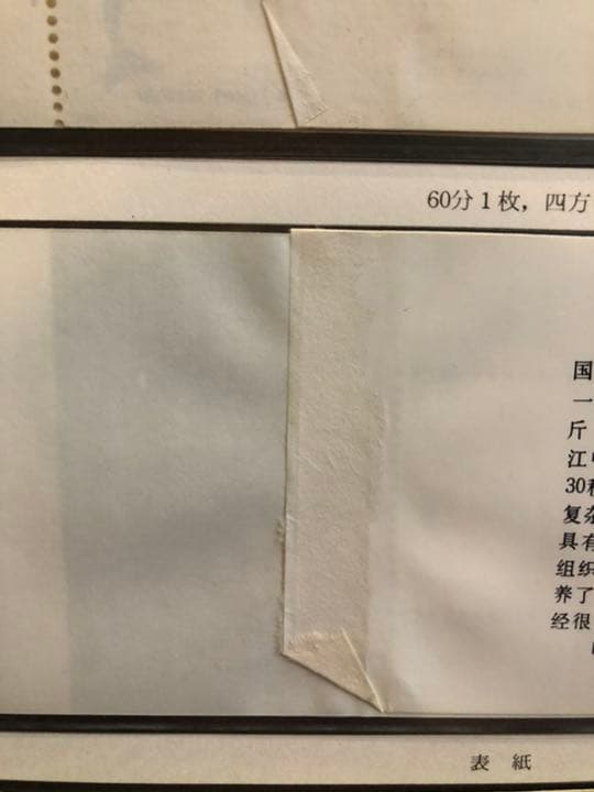 値下げ！【新品未使用】中国切手SB2切手帳 編(2)1980年 揚子江カワイルカ