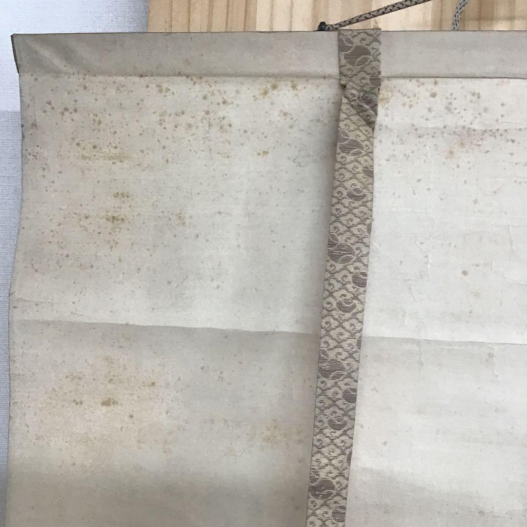 K茶道具　掛軸　「寒牡丹と雀」の図　岸燕作　配送用桐箱　S178KJ