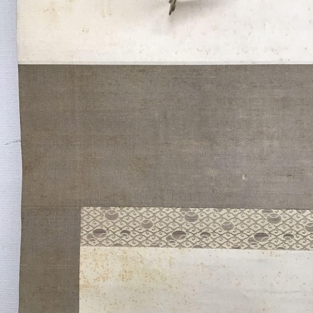 K茶道具　掛軸　「寒牡丹と雀」の図　岸燕作　配送用桐箱　S178KJ