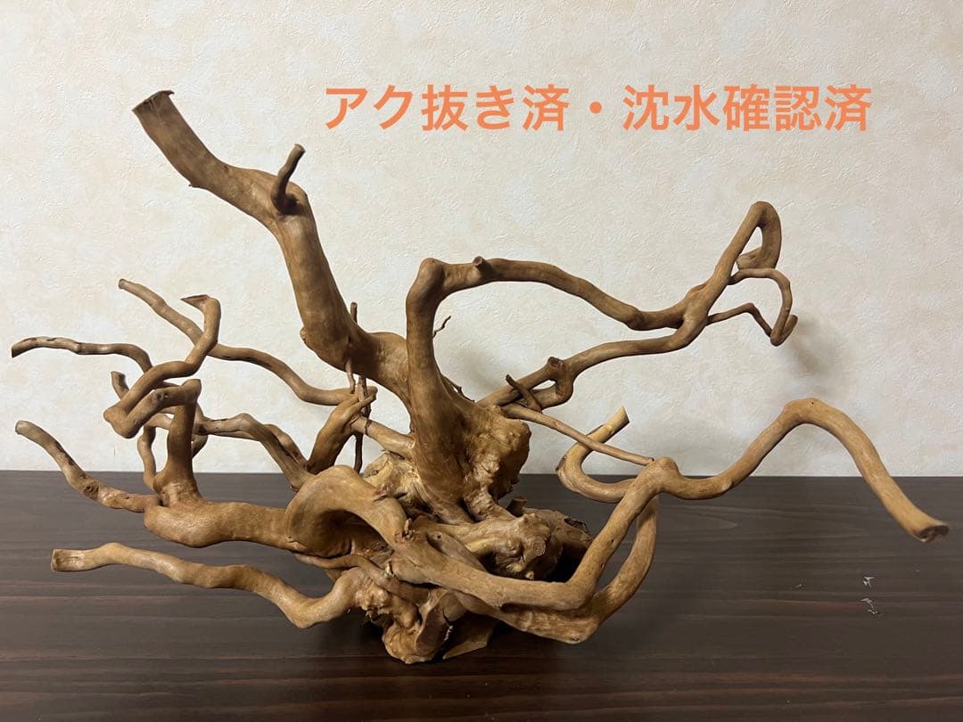 70215 ブランチウッド　流木　アクアリウム　沈水確認済