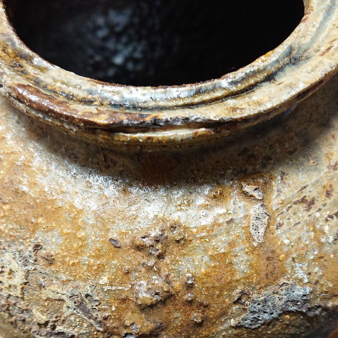 高内秀剛 「蹲壷」 共箱