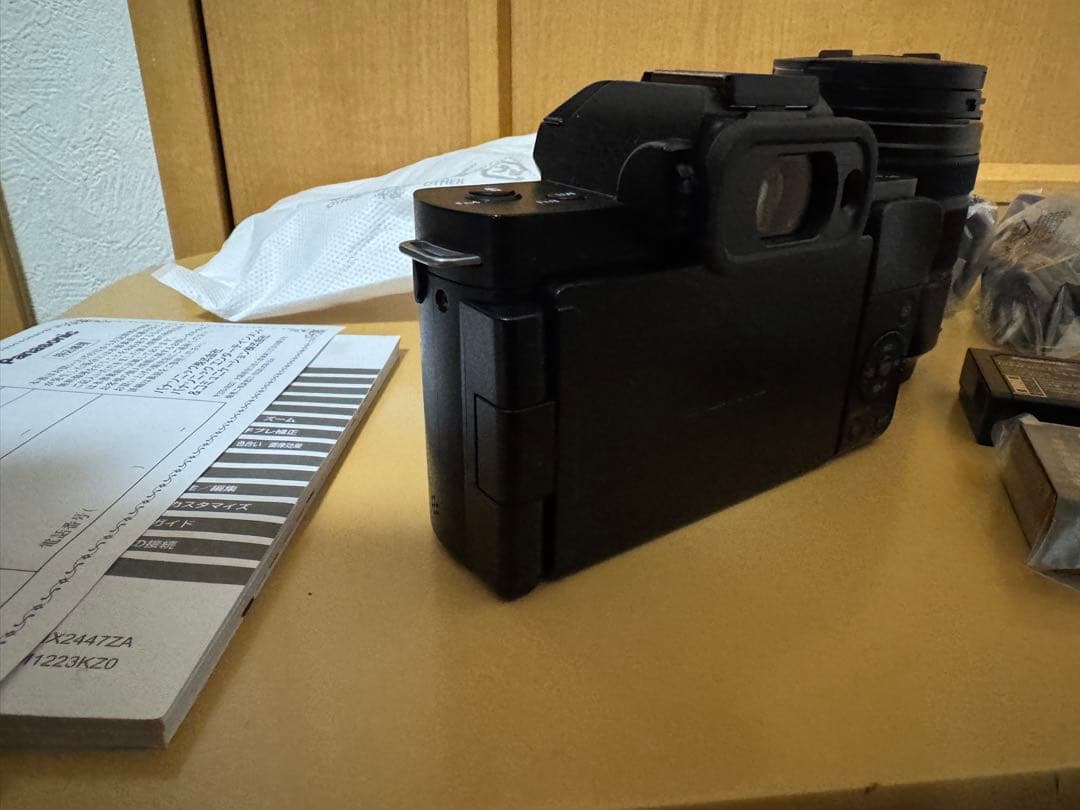 LUMIX DC-G100DW ダブルズームレンズキット