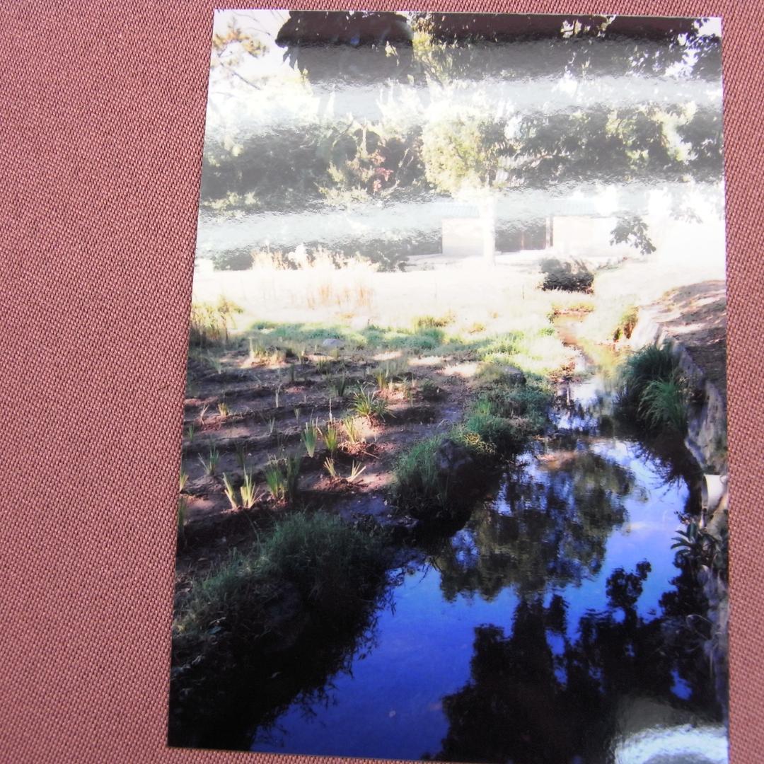 名機　MINOLTA　TC-1　　元箱付