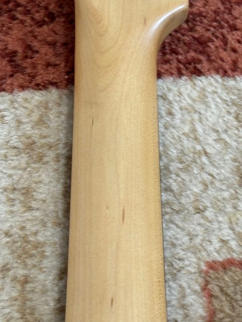 Bacchus Universe Series テレキャスター サンバースト