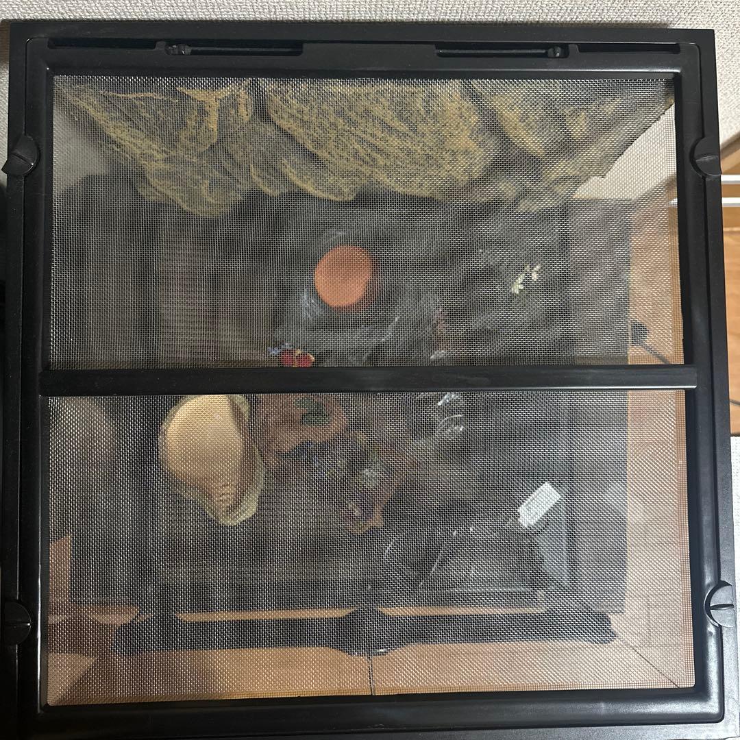 グラステラリウム4530その他飼育用品セット