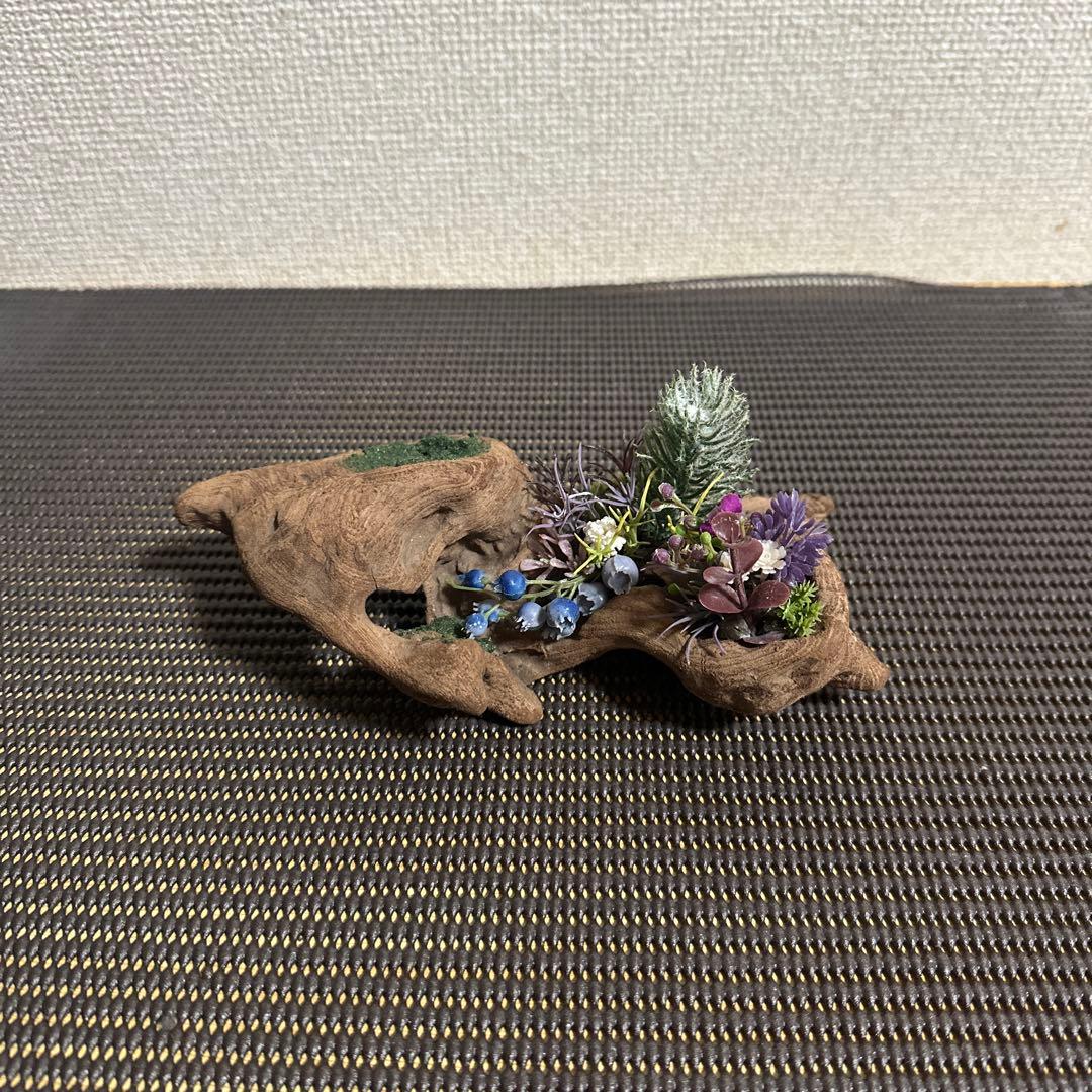 グラステラリウム4530その他飼育用品セット