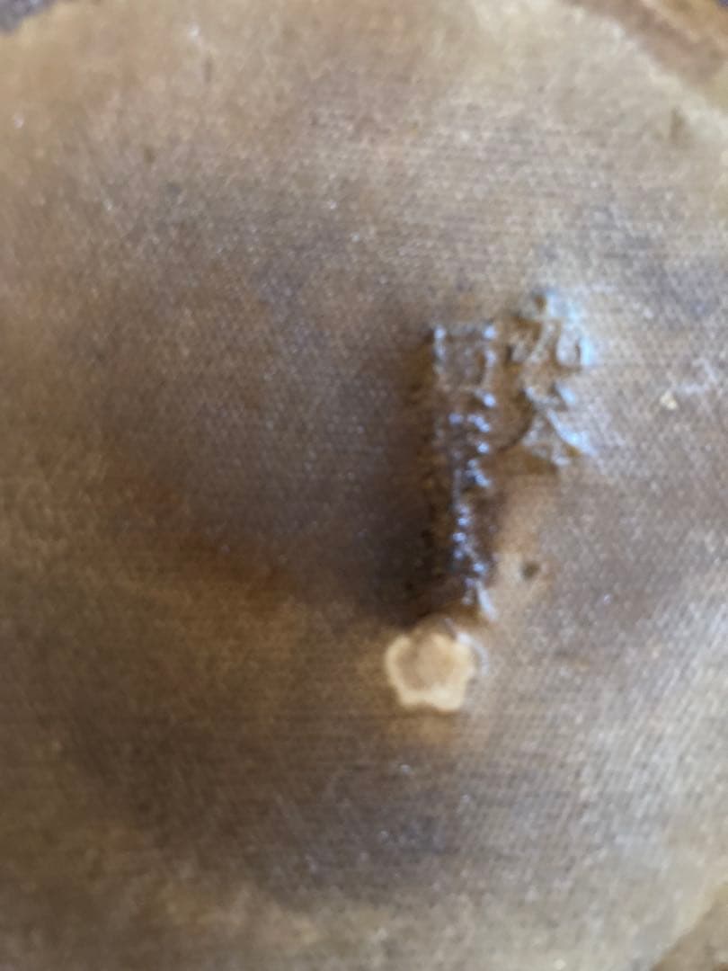 九谷焼き　陶器製 獅子像 玉乗り獅子