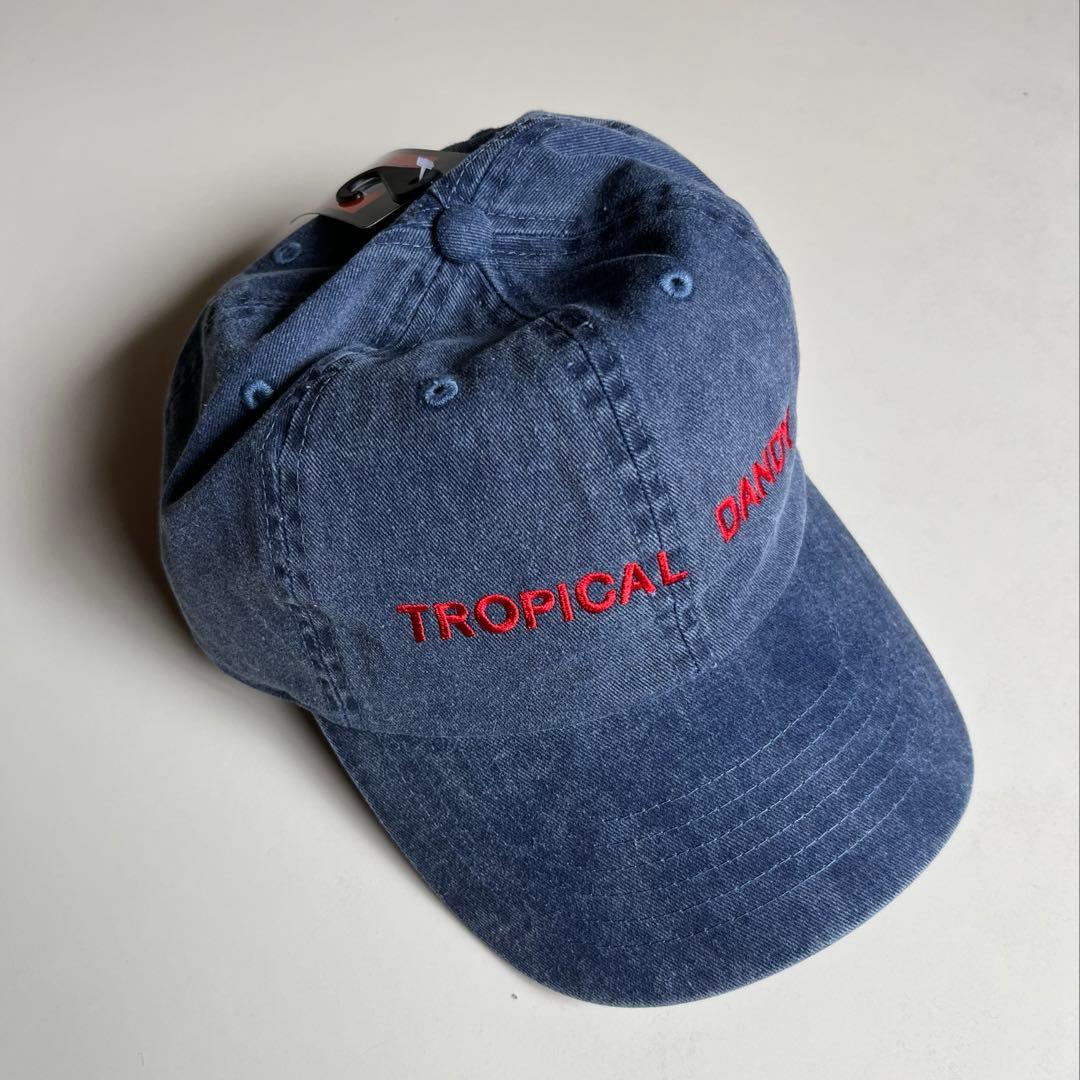 細野晴臣 TROPICAL DANDY CAP トロピカルダンディー キャップ
