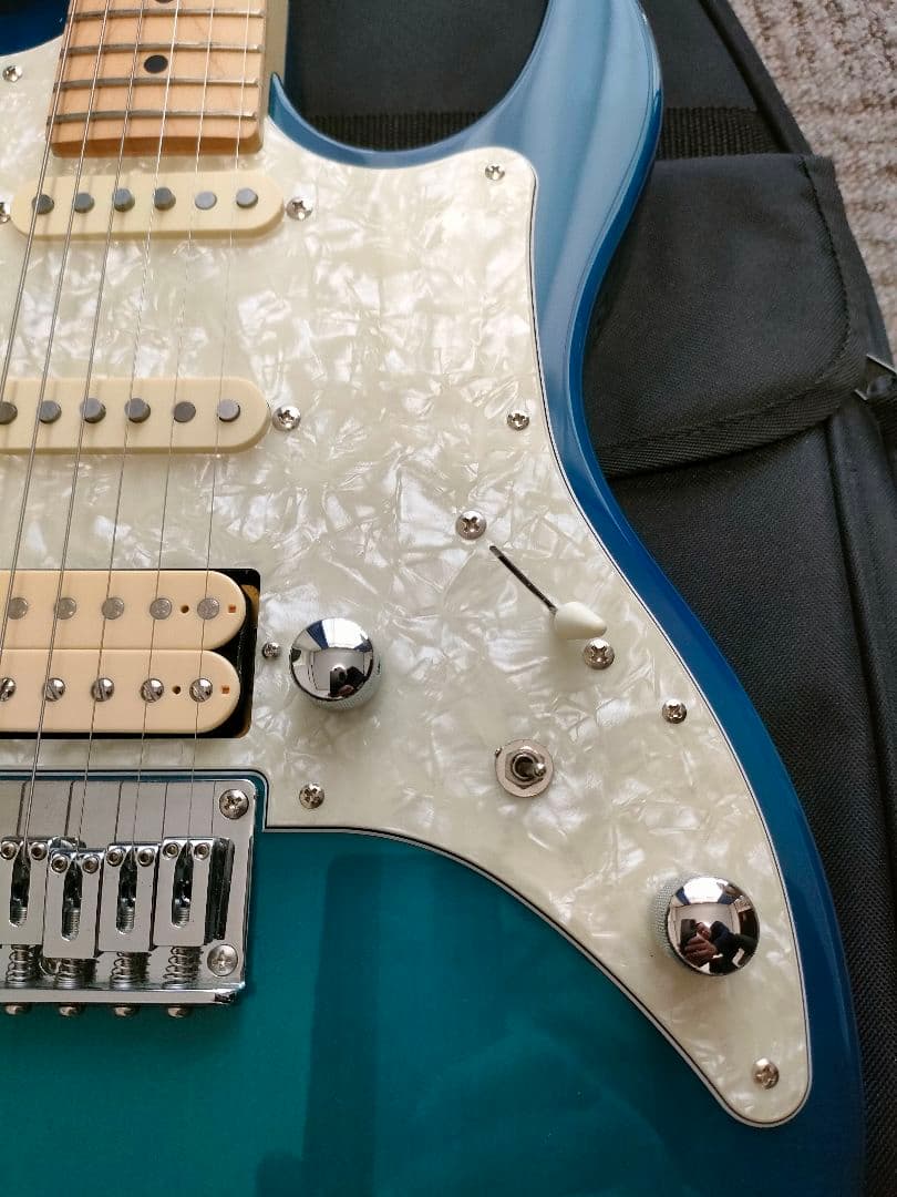 フジゲン　bos-m/tbs/01　フレットは98％残ってます。状態良いです。