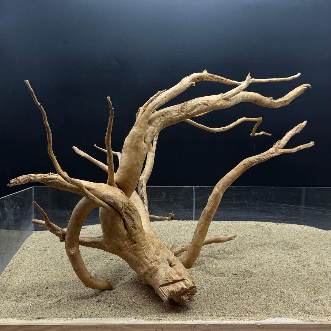 MDW-6989 特大ブランチウッド　流木　枝流木　アクアリウム