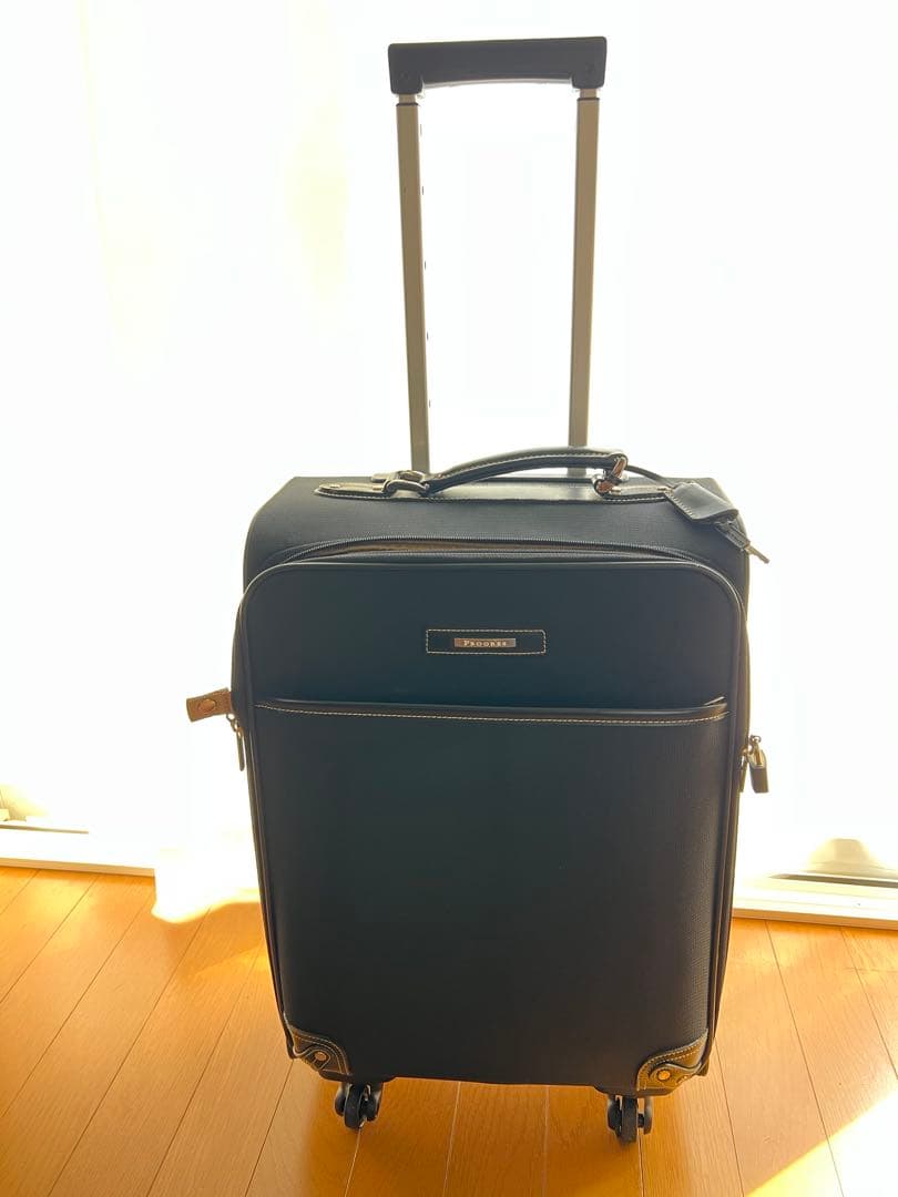 ACE ブラックナイロンキャリーケース