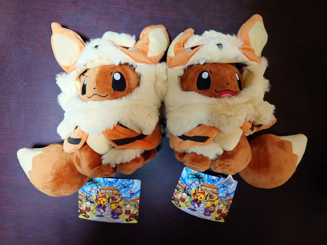 【新品】ポケモンセンター 沖縄限定 ウィンディポンチョイーブイ ぬいぐるみセット