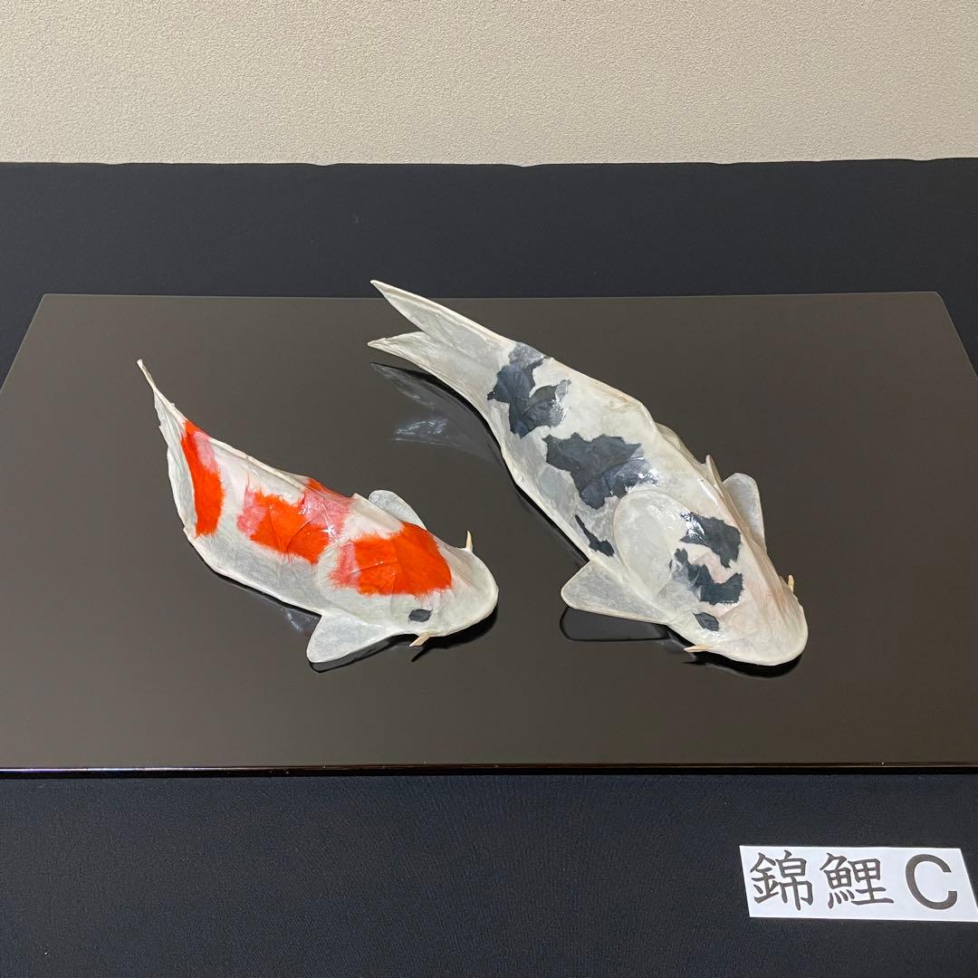 張子　錦鯉 C ツヤあり
