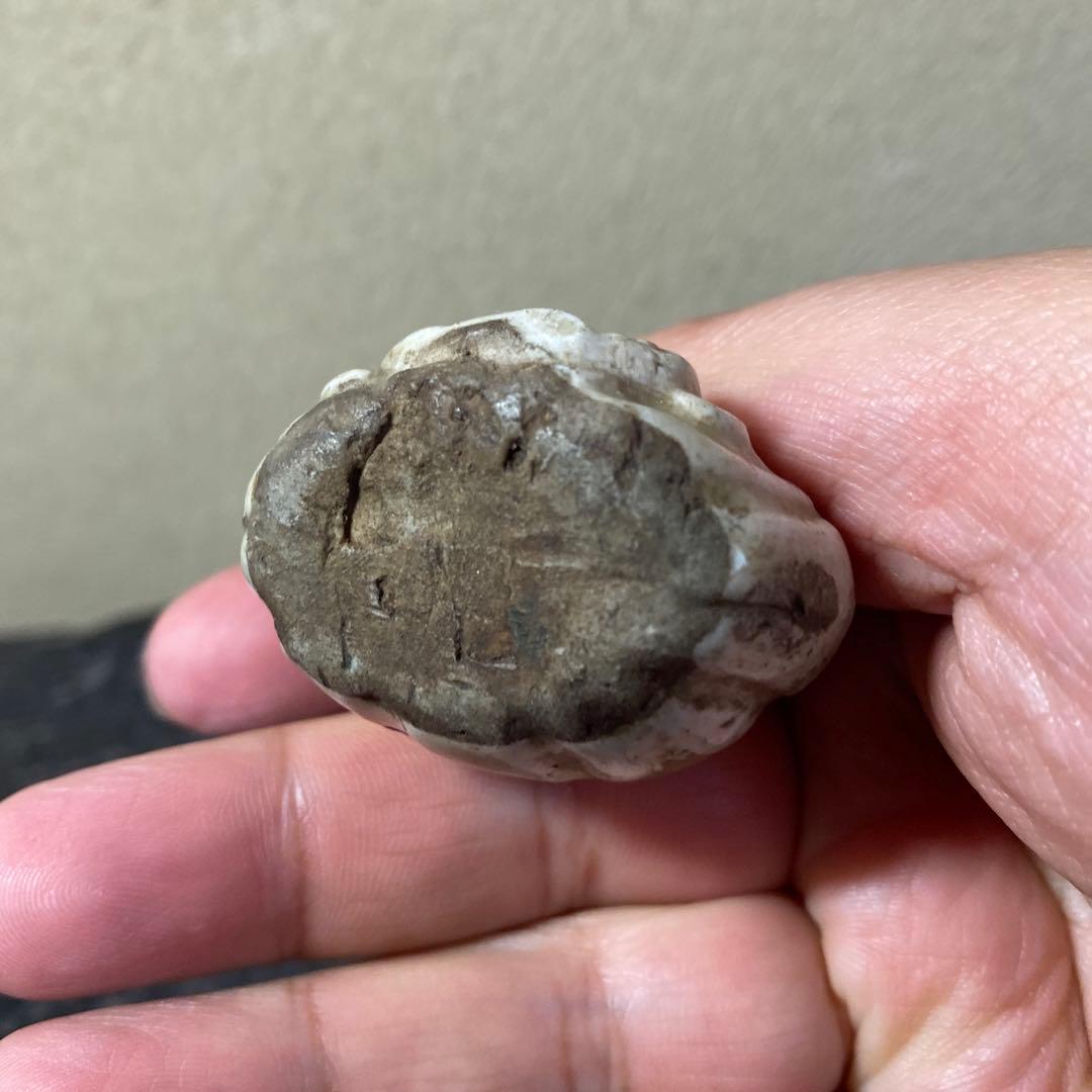 珍品　おふけ焼　大黒天水滴