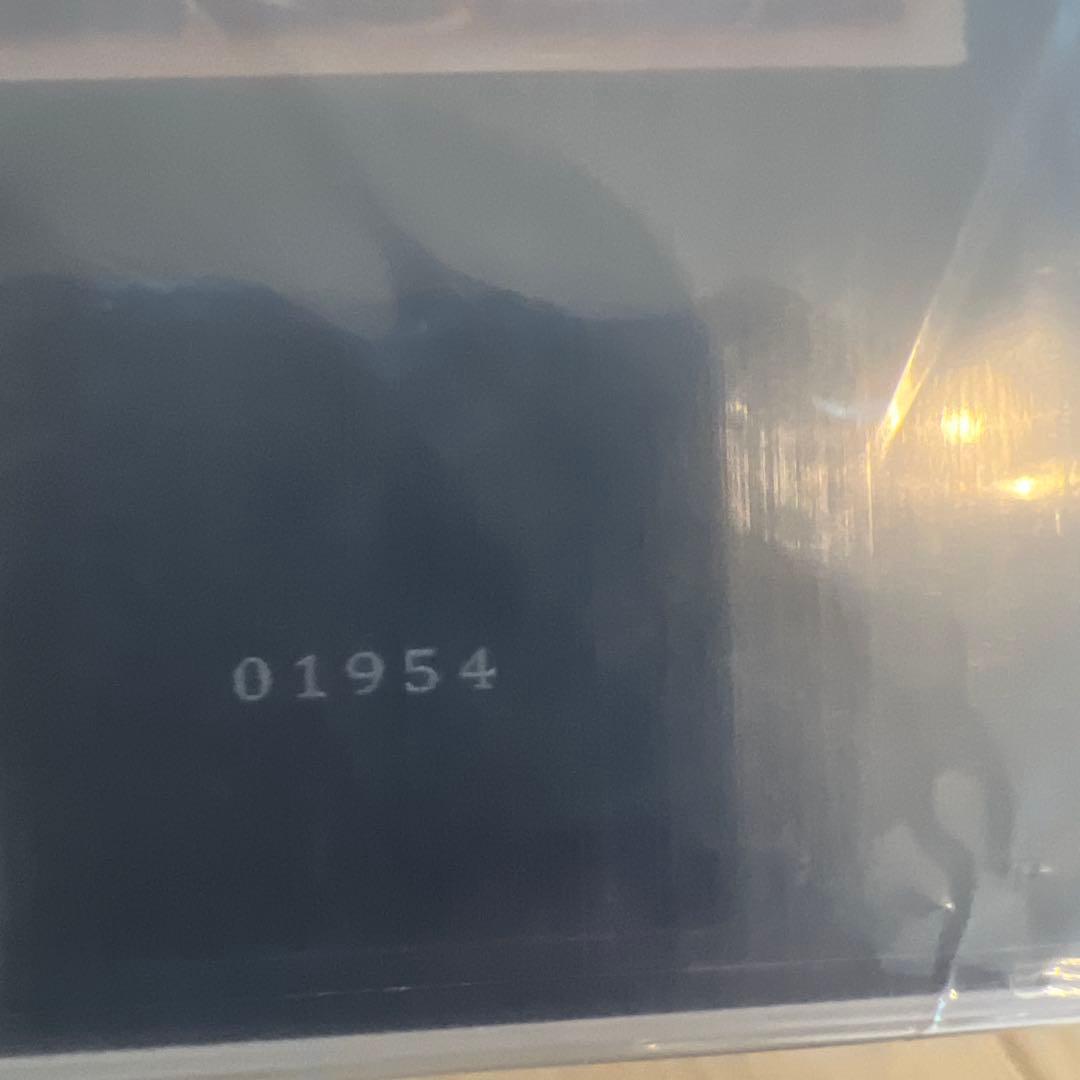 遊戯王 「ブラック・マジシャン・ガール」(ステンレス製）1954