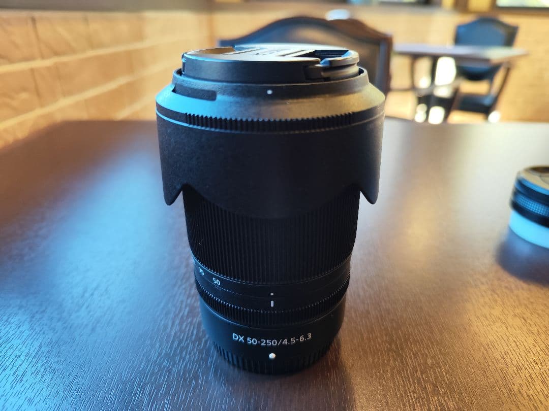 NIKKOR DX 50-250mm f/4-5.6 ズームレンズ