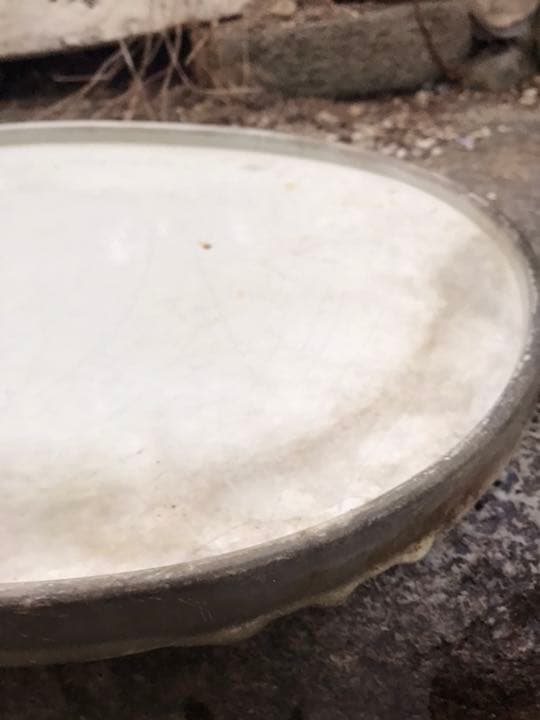 水盤　盆栽鉢時代落款白一菁陶園楕円水盤水石苔珠盆栽盆栽敷