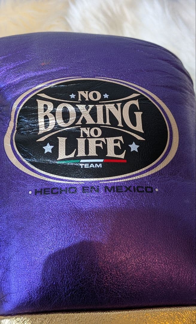 ノーボクシングノーライフ 世界戦公式グローブ ８oz
