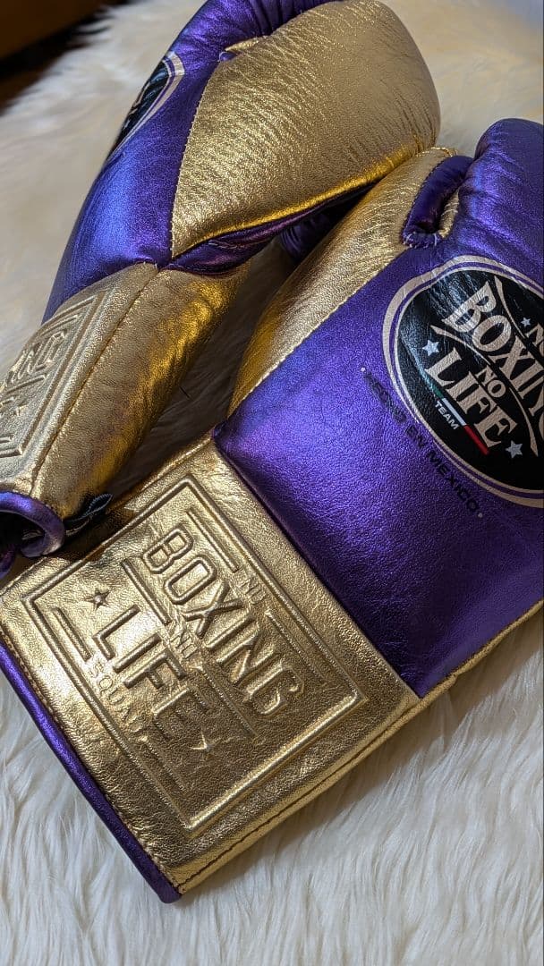 ノーボクシングノーライフ 世界戦公式グローブ ８oz