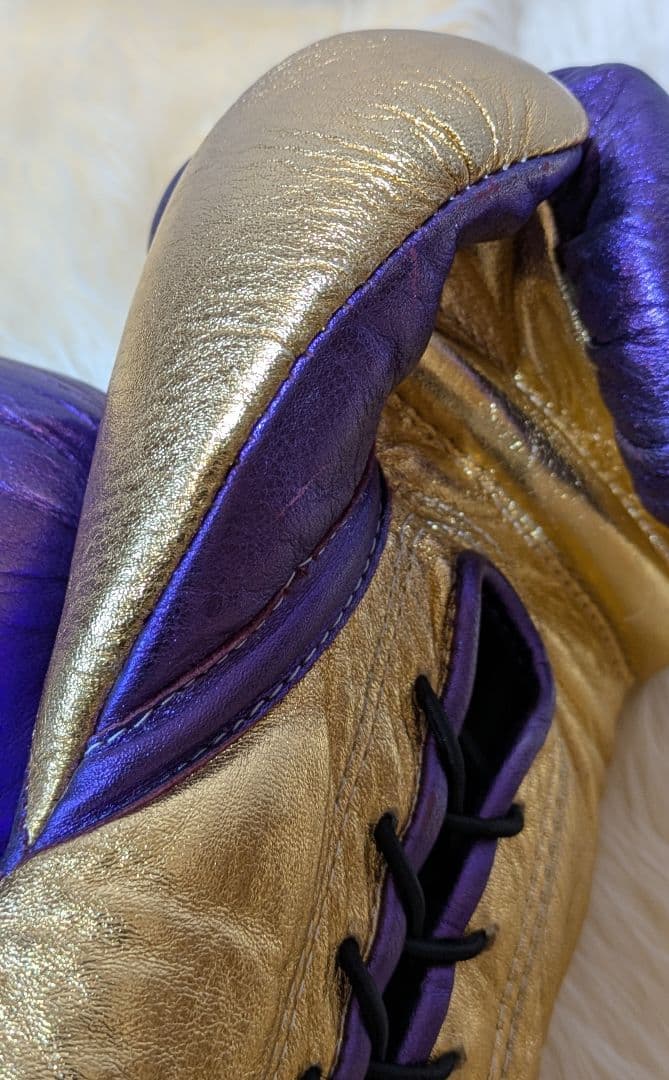 ノーボクシングノーライフ 世界戦公式グローブ ８oz