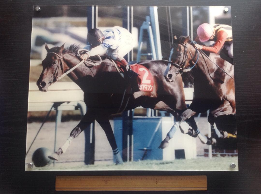 競馬パネル：ヒシアマゾン「1995年第41回産経賞オールカマー」