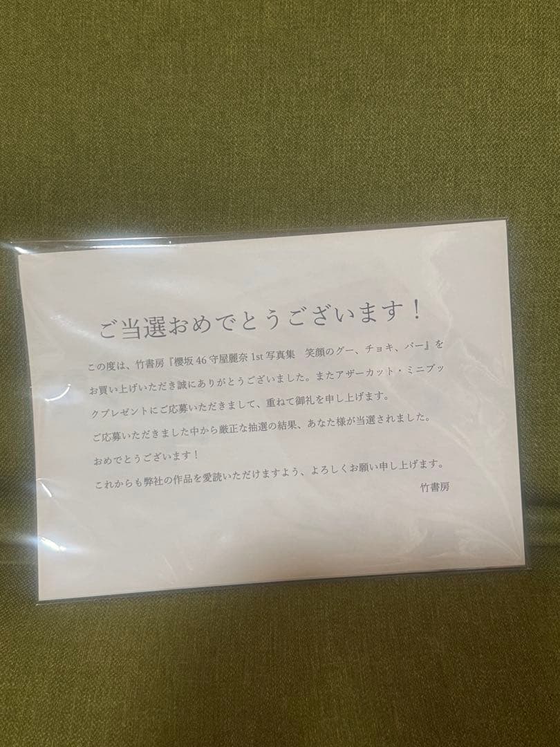櫻坂46 守屋麗奈1st写真集笑顔のグー、チョキ、パー アザーカット写真集当選品