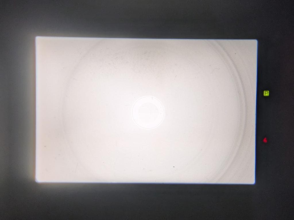 キヤノン AE-1 PROGRAM ブラック FD 50 f1.4 SSC 動確