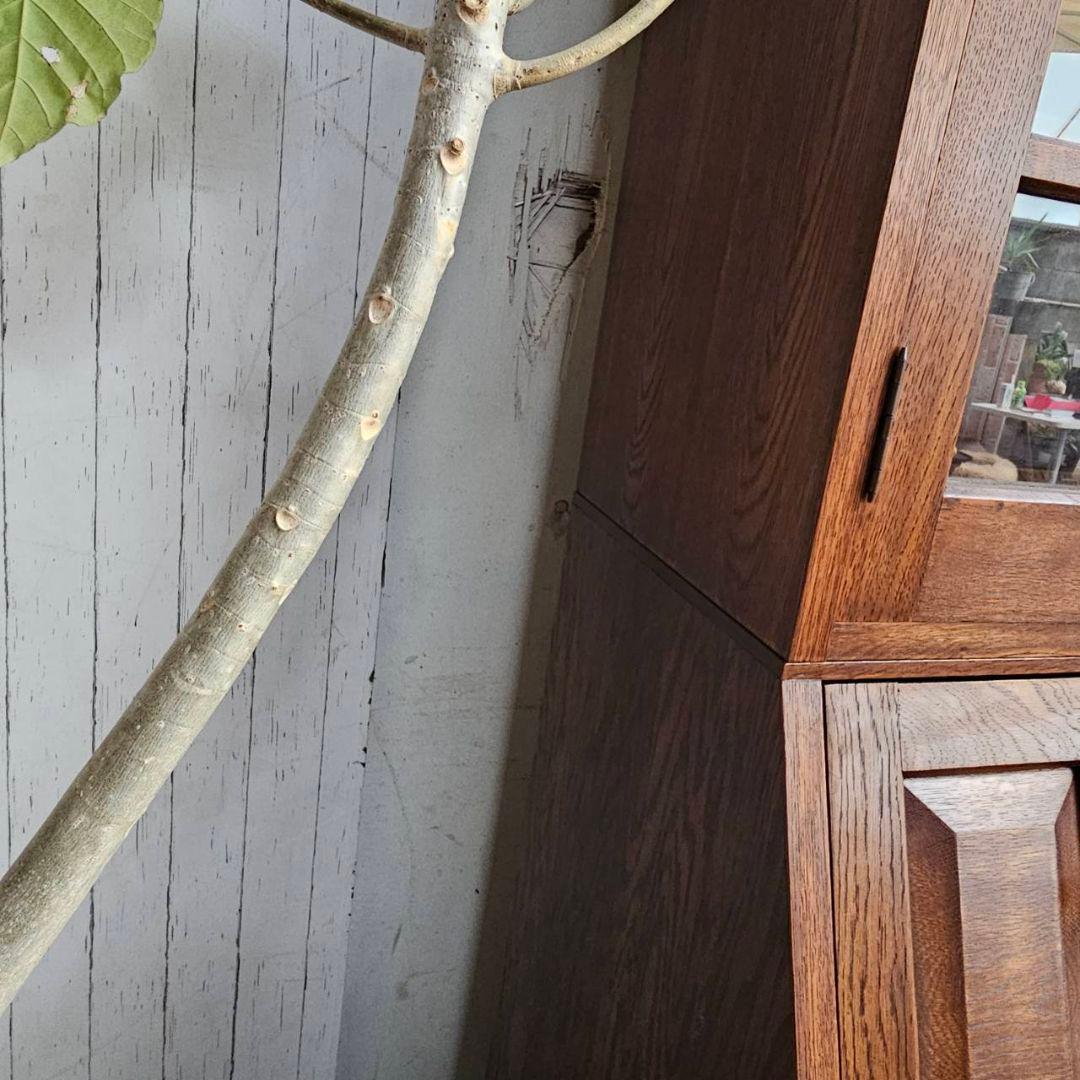 木製 本棚 吉田璋也？ 辰巳木工？ ビューローブックケース ライティング