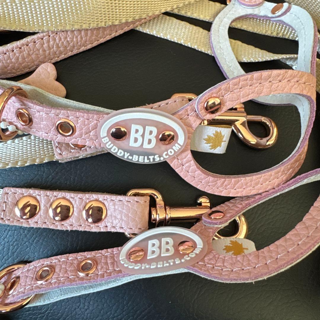 バディベルト　bb ハーネス・リード6点セット
