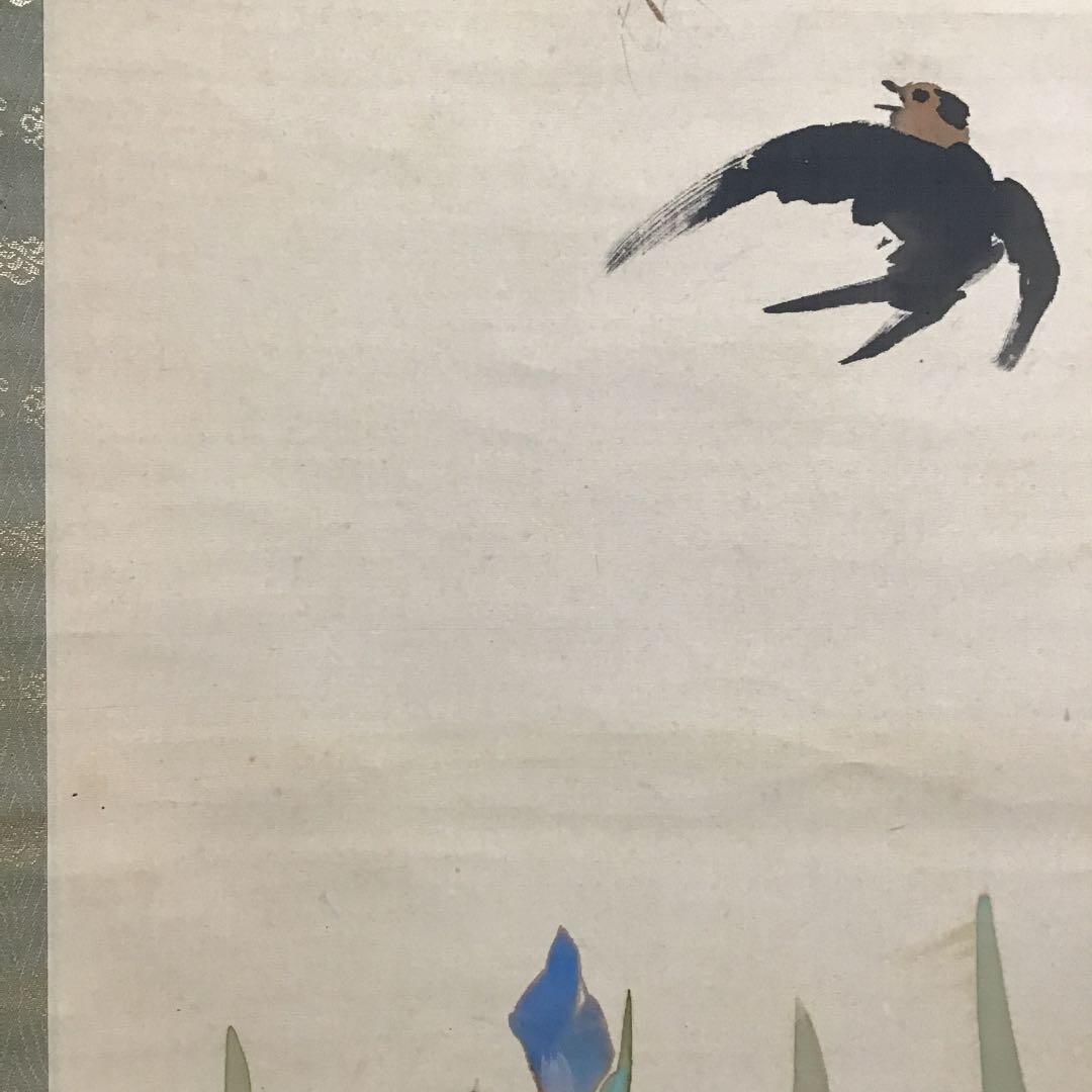 K茶道具　掛軸　杜若(かきつばた)　小寺雲洞作(明治ー昭和)共箱　S1014KJ