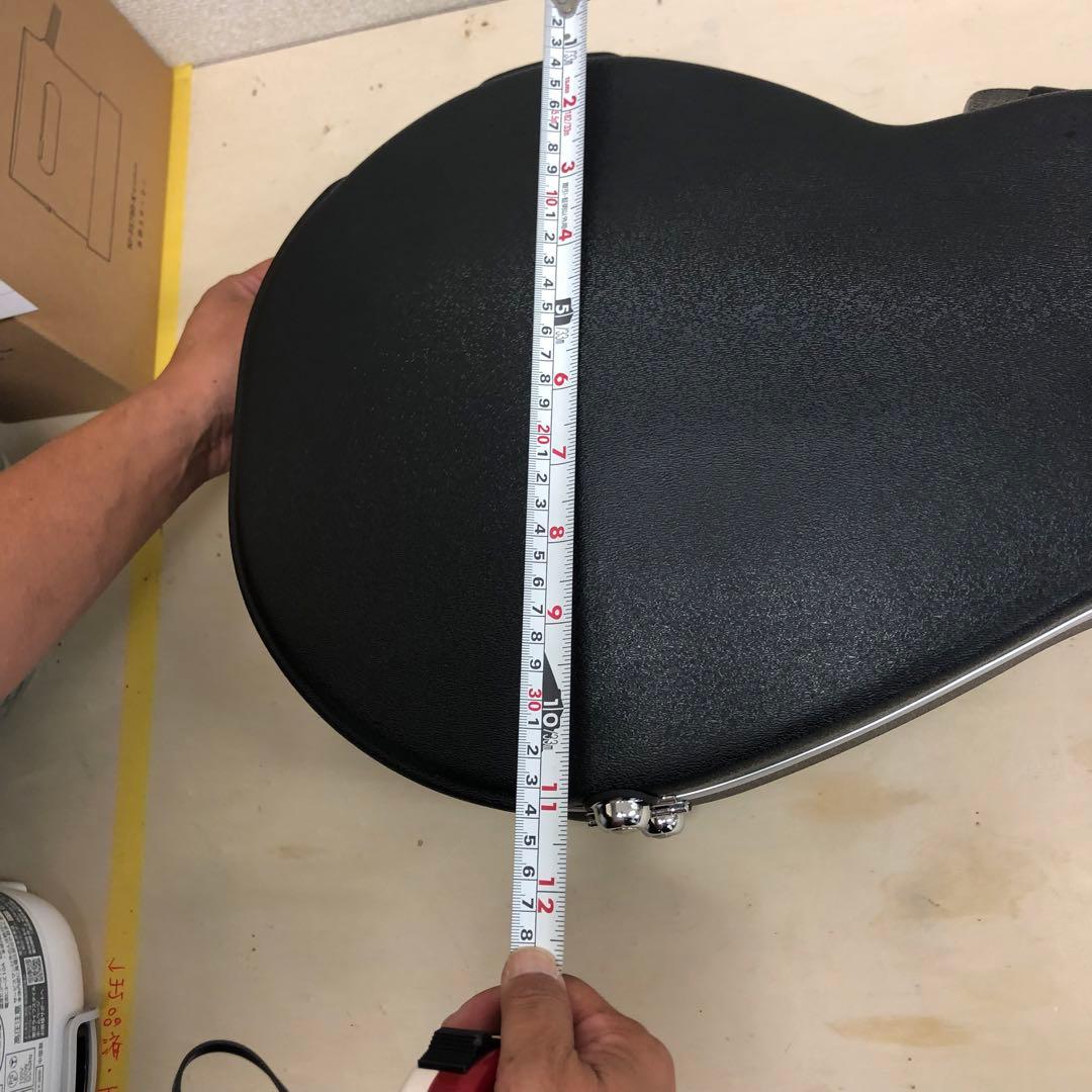 PLAY TECH プレイテック F型 マンドリン ハードケース付き