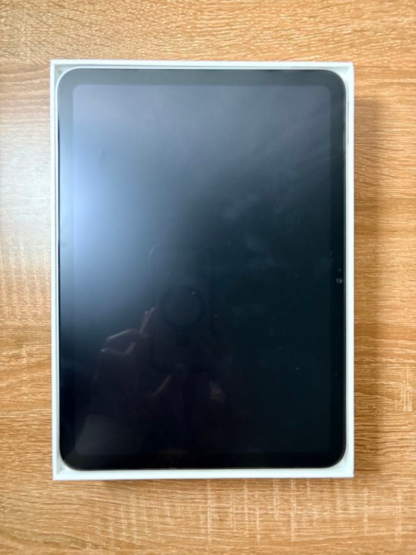 iPad本体 Apple iPad (A16)