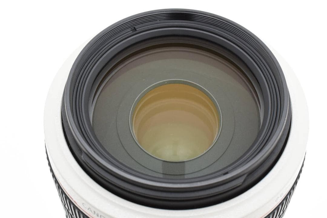 美品 Canon EF 70-300mm F4-5.6 L IS USM 元箱付