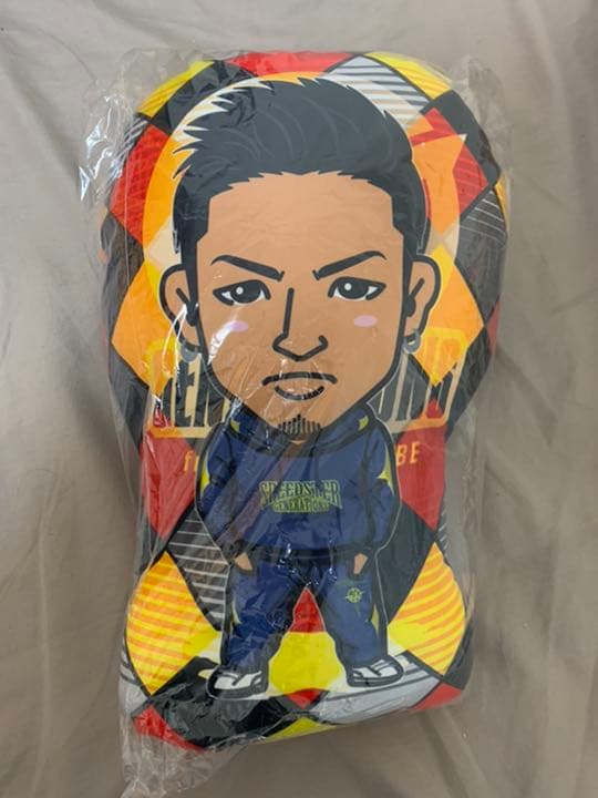 数原龍友 クッション