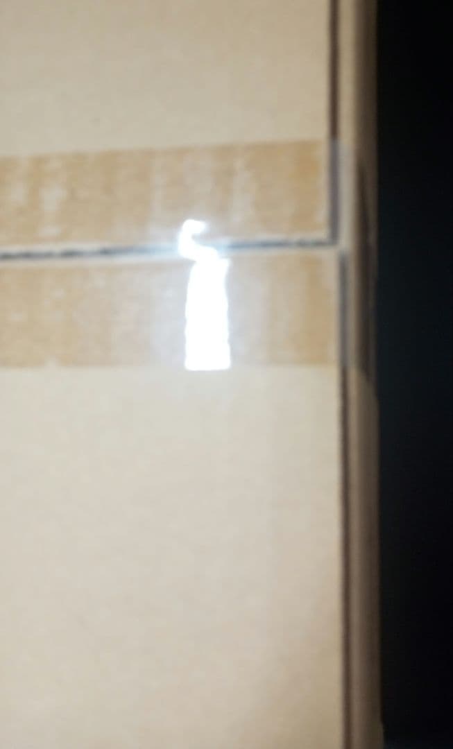 Re:ゼロから始める異世界生活　カートン　未開封