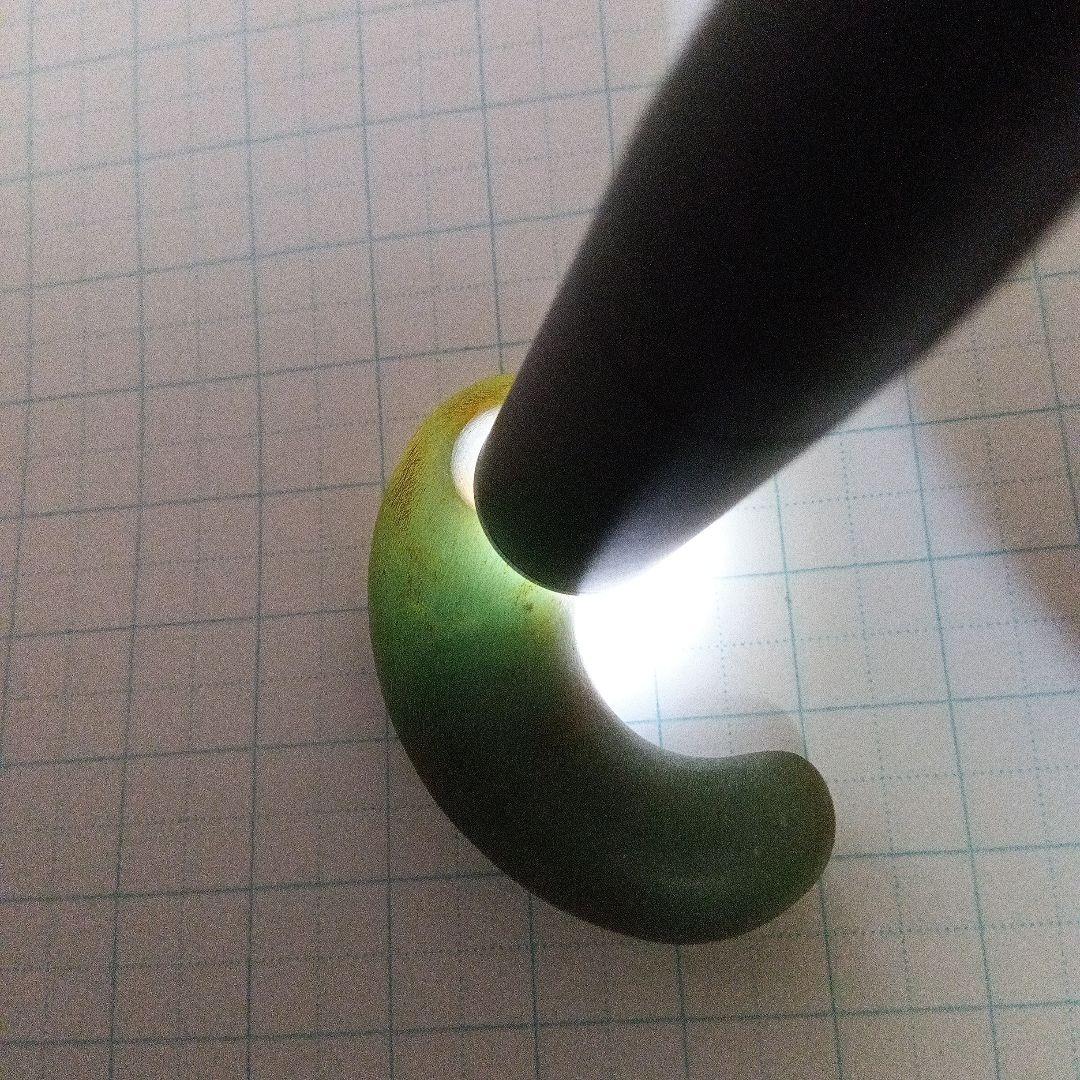 古勾玉　「考古資料」　彌生文化期　翡翠勾玉