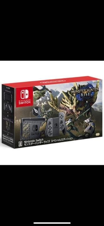 南*ん様 モンスターハンターライズ スペシャルエディション