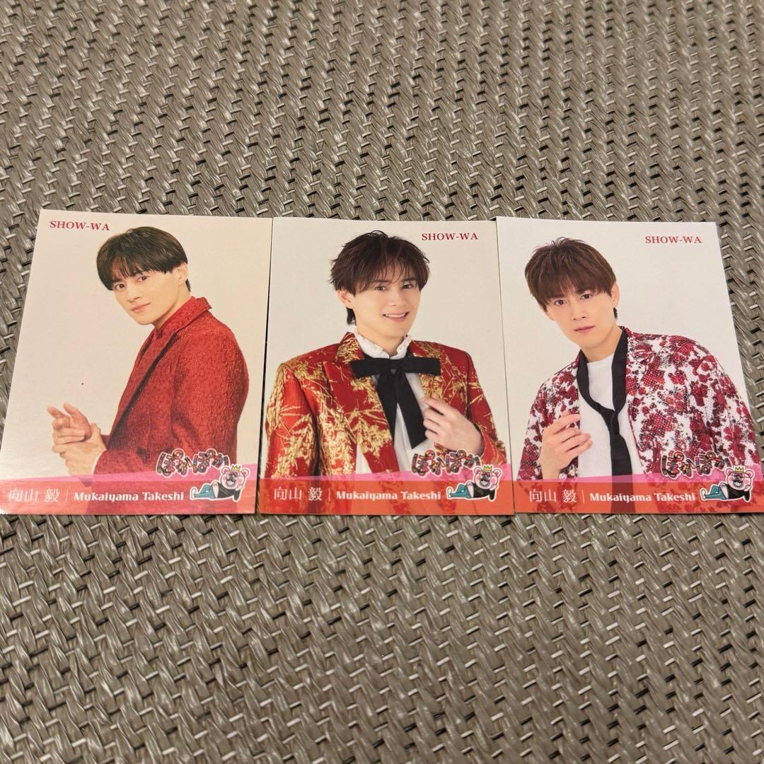 SHOW-WA 向山毅 たけちゃん ステッカー ぽかぽかステッカー