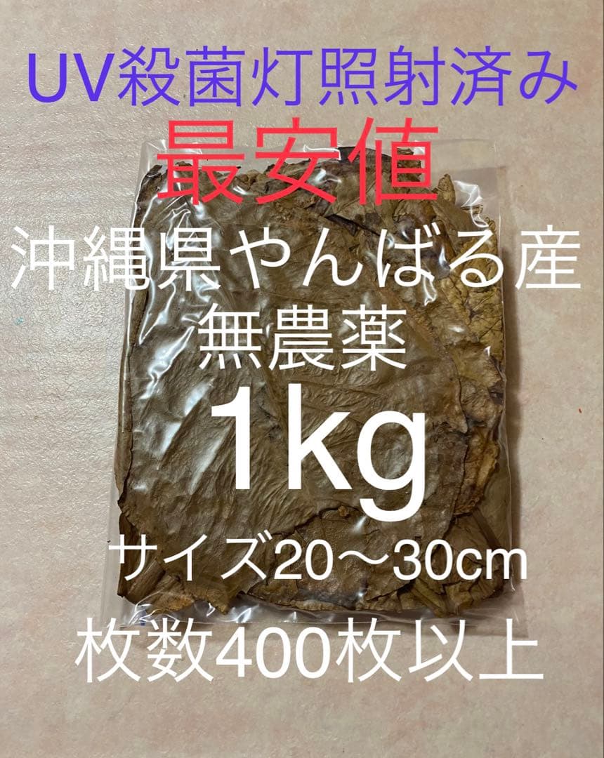 沖縄県やんばる産マジックリーフ 1kg UV殺菌灯照射済み⑤