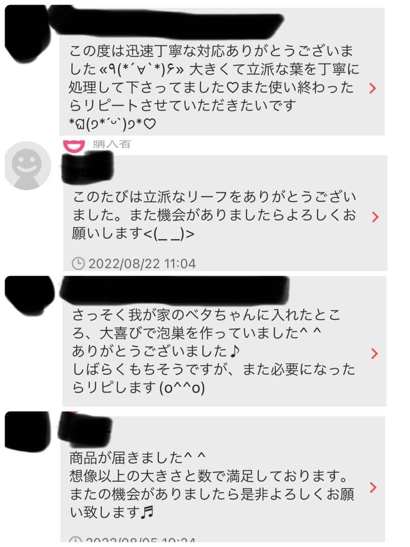沖縄県やんばる産マジックリーフ 1kg UV殺菌灯照射済み⑤