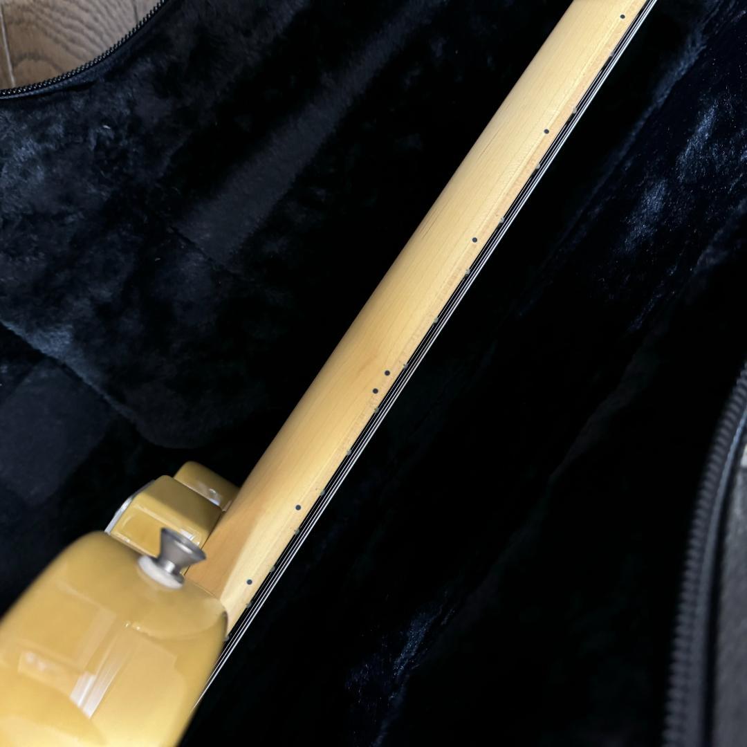 【超美品】FGN Neo Classic NTL10MAH テレキャスター